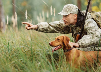 В Молдове открывается сезон охоты: отстрел шакалов не ограничен