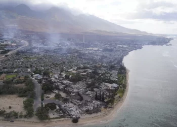 На Гавайях из-за лесных пожаров погибли 89 человек