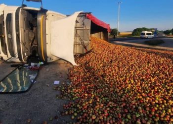 В Сороках перевернулся грузовик с яблоками