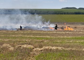 Aproape 170 de hectare de vegetație uscată au fost mistuite de flăcări, în mai multe localități din țară. Cu ce recomandări vin pompierii | VIDEO