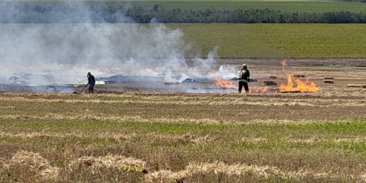 Aproape 170 de hectare de vegetație uscată au fost mistuite de flăcări, în mai multe localități din țară. Cu ce recomandări vin pompierii | VIDEO