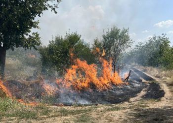 Incendiul din comuna Stăuceni: Patru echipe de pompieri luptă de mai multe ore cu flăcările. Primarul localității spune că focul ar putea ajunge la cartiere rezidențiale | VIDEO