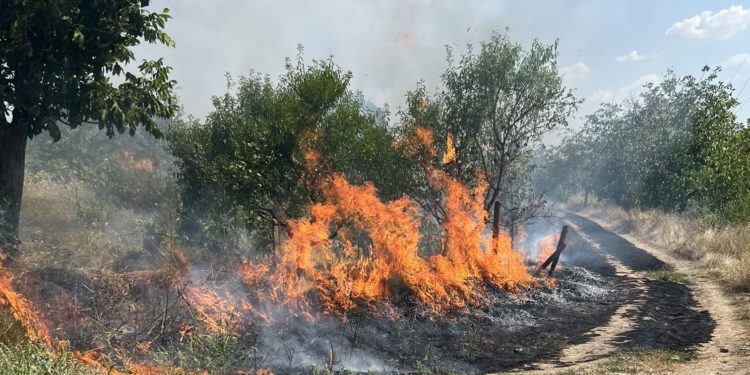 Incendiul din comuna Stăuceni: Patru echipe de pompieri luptă de mai multe ore cu flăcările. Primarul localității spune că focul ar putea ajunge la cartiere rezidențiale | VIDEO