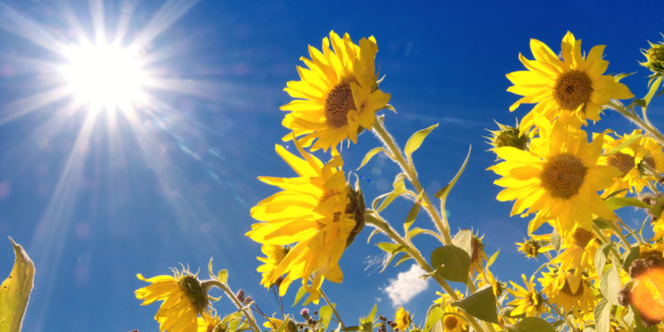 Vreme caldă, fără precipitaţii: Ce maxime anunță meteorologii pentru prima zi de weekend