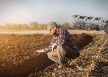 „Agricultura trece prin cea mai dificilă perioadă”. Fost ministru al economiei despre starea în care se află fermierii, dar și cetățenii de rând
