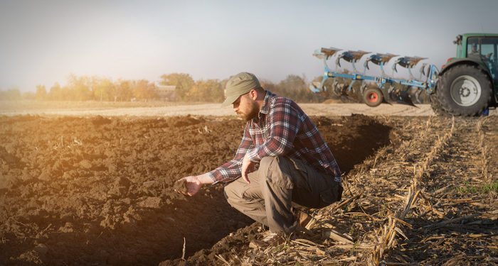 „Agricultura trece prin cea mai dificilă perioadă”. Fost ministru al economiei despre starea în care se află fermierii, dar și cetățenii de rând