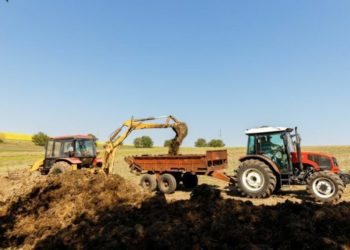 Numărul persoanelor care muncesc în sectorul agricol din Moldova a scăzut cu 600 de mii în ultimii 23 de ani