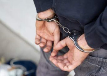 Agent imobiliar din Iran, arestat pentru că a vândut un apartament unui câine