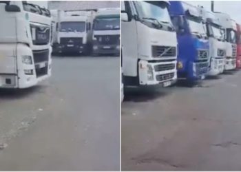Mai multe TIR-uri încărcate cu producție moldovenească, printre care prune și vișine, ar staționa în una din vămile Federației Ruse. Ce spun autoritățile despre acest caz | VIDEO