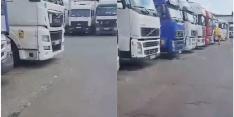 Mai multe TIR-uri încărcate cu producție moldovenească, printre care prune și vișine, ar staționa în una din vămile Federației Ruse. Ce spun autoritățile despre acest caz | VIDEO