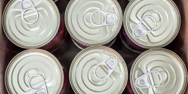 Un nou pachet de asistență umanitară pentru Ucraina, votat de Guvernul Recean: Vor fi oferite conserve de carne și pește, în valoare de peste trei milioane de lei | VIDEO