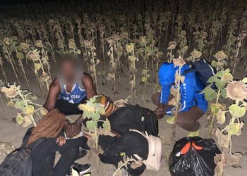 Cinci cetățeni din Burundi și Camerun, reținuți în încercare de a trece ilegal frontiera moldo-română: Aceștia urmează a fi expulzați