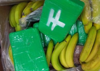 Cehia: Oamenii legii au confiscat peste 600 de kilograme de cocaină, ascunse printre banane