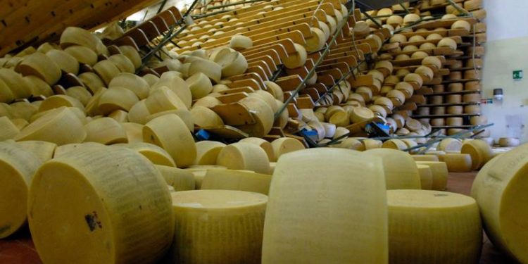 Un om de afaceri italian a murit strivit de mii de roţi de brânză de tip parmezan