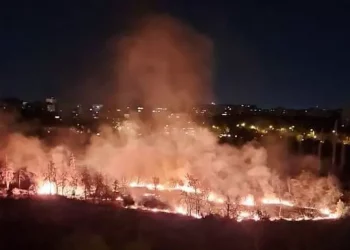 Incendiu puternic în Parcul IOR din București. S-au aprins 4.000 de metri pătrați de vegetație