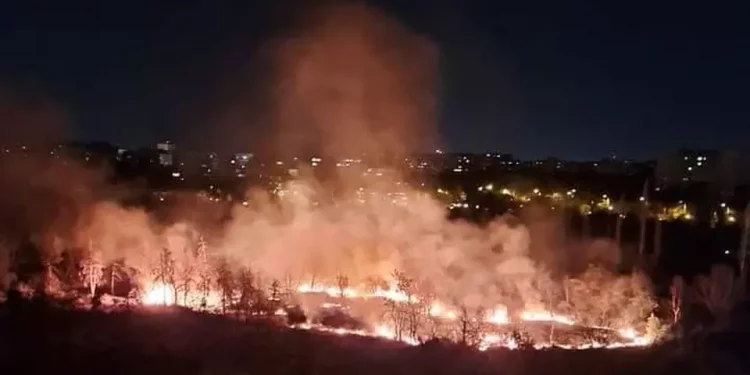Incendiu puternic în Parcul IOR din București. S-au aprins 4.000 de metri pătrați de vegetație