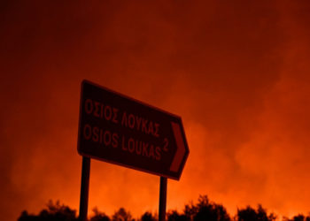 Pădurile nu vor mai putea fi refăcute: Incendiile din nordul Greciei au produs cel mai mare dezastru din UE