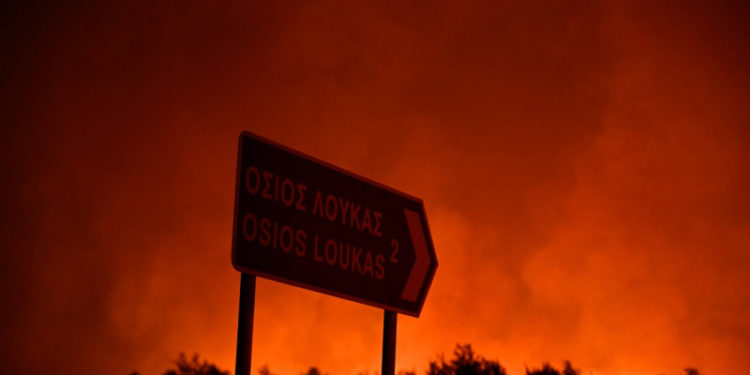 Pădurile nu vor mai putea fi refăcute: Incendiile din nordul Greciei au produs cel mai mare dezastru din UE