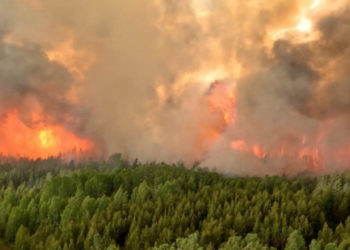 Incendiile de pădure din Canada au emis în primele șase luni mai mult dioxid de carbon decât toate avioanele din lume într-un an