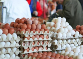 Prețul ouălor a crescut cu 10,8% în iulie: Legumele, zahărul, uleiul, dar și unele servicii s-au ieftinit