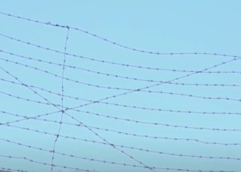 Raport Promo-LEX: Sistemul penitenciar din Moldova se confruntă cu un șir de probleme, printre care lipsa asistenței medicale calificate. Asociația cheamă Guvernul să ia măsuri urgente | VIDEO