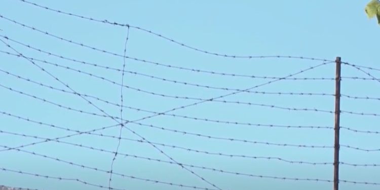 Raport Promo-LEX: Sistemul penitenciar din Moldova se confruntă cu un șir de probleme, printre care lipsa asistenței medicale calificate. Asociația cheamă Guvernul să ia măsuri urgente | VIDEO