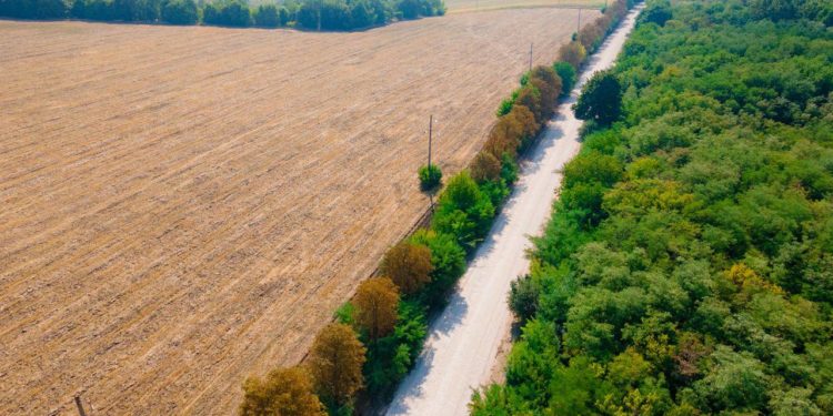 Programul lansat de Ilan Șor „Orhei – raion de vis”, continuă: Un drum cu lungimea de 2,5 kilometri, care asigură conexiunea dintre trei sate cu centrul raional, se repară capital: „Oamenii au așteptat acest proiect aproape toată viața” | VIDEO