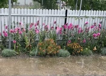 În mai multe localități din regiunea de nord a țării a plouat torențial: Precipitațiile au făcut prăpăd în Glodeni și au îngreunat circulația pe străzile din Bălți | VIDEO