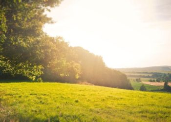 Тепло и без осадков: какая погода ждет жителей Молдовы в субботу?