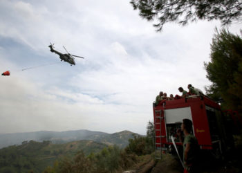 Incendiile de vegetație fac prăpăd în Albania: Patru fermieri au fost arestați