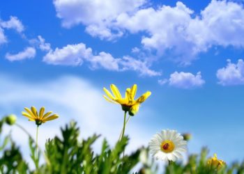 Vreme frumoasă pentru astăzi: Câte grade anunță meteorologii