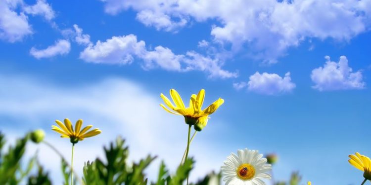 Vreme frumoasă pentru astăzi: Câte grade anunță meteorologii