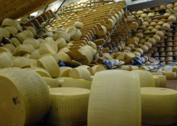 Un om de afaceri italian a murit strivit sub mii de roți de brânză. Fiecare cântărea 40 de kilograme