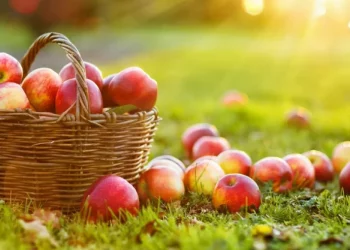 Преображение Господне или Яблочный Спас: история и традиции праздника