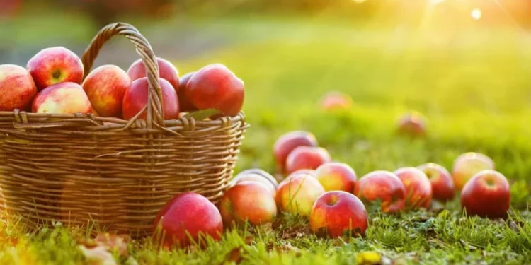 Преображение Господне или Яблочный Спас: история и традиции праздника