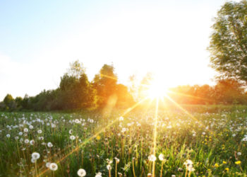 Vreme frumoasă în prima zi de weekend: Câte grade ne promit meteorologii