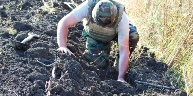 В Фалештском районе во время полевых работ нашли гранату