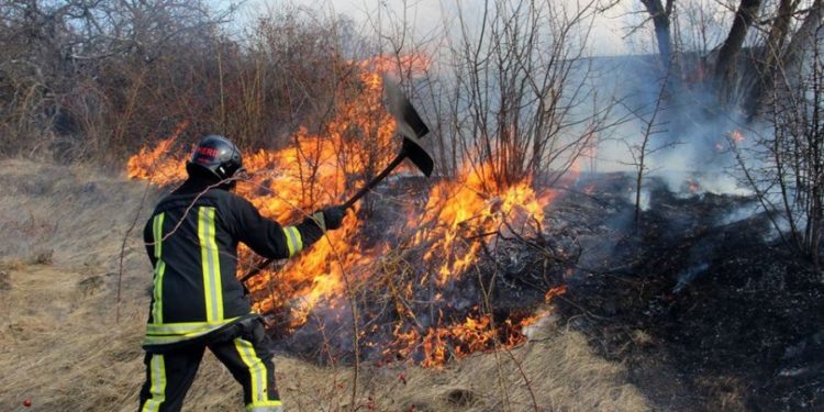 Потушили траву и спасли человека: случай с возгоранием в Унгенском районе