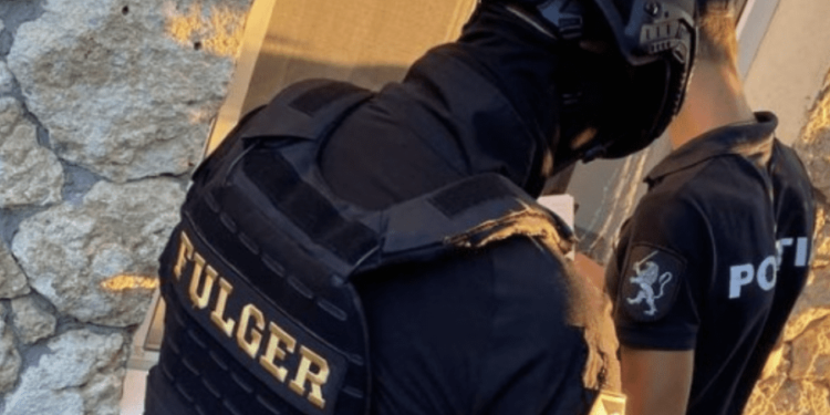 Воровали местные: полиция провела обыски в Криулянском районе у подозреваемых