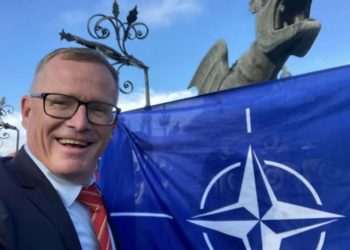 Глава Европейского комитета по развитию НАТО призвал Молдову вступить в Альянс