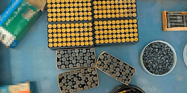 Обыски в Оргееве: двое мужчин незаконно хранили дома оружие и боеприпасы