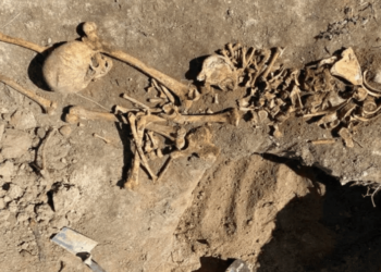 Человеческие останки обнаружил во дворе своего дома житель Атак