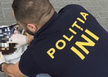 Вместо корма для животных — наркотики: Правоохранительные органы обнаружили запрещенные вещества на 8 млн леев