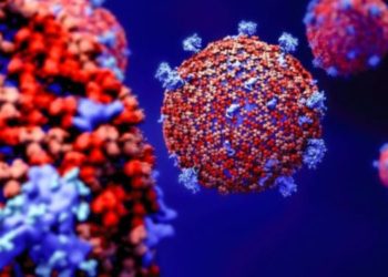 ВОЗ продолжает расследование появления COVID-19