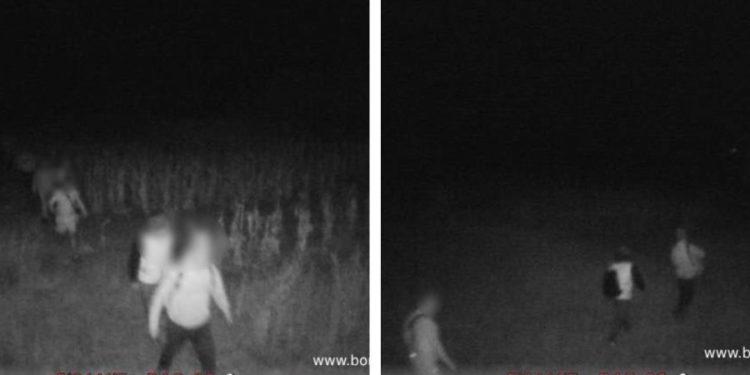 Задержана группа нелегалов из Украины: кто был проводником и сколько стоят услуги