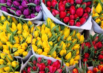 Azi, în prima zi de școală comercianţii de flori au fost verificaţi de inspectorii fiscali | VIDEO