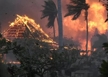 Названа причина возникновения уничтоживших город на Гавайях пожаров