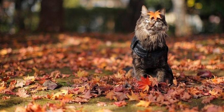 Переменная облачность и прохладные ночи. Какая будет погода на следующей неделе?