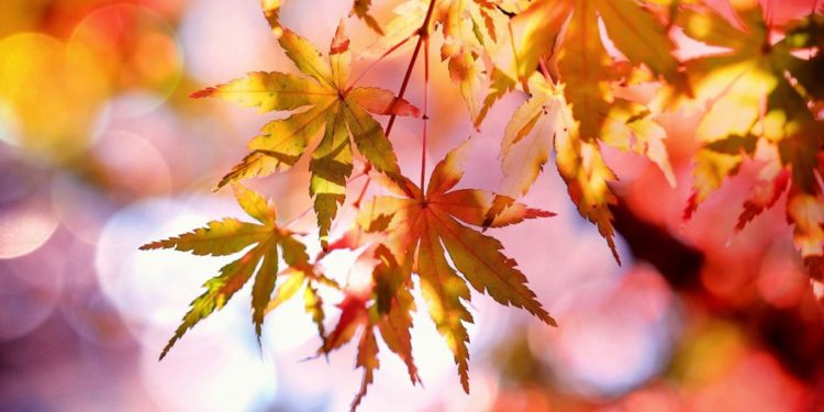 Nopţi reci şi fără ploi. Ce temperaturi ne prognozează meteorologii