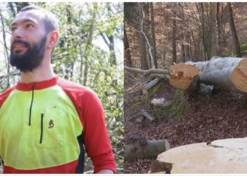 Caz șocant: Un moldovean a fost îngropat de viu în Italia, sub o grămadă de lemne și crengi